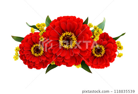 Red zinnia  flowers in a line floral arrangement isolated on white background 118835539
