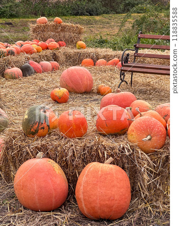 Rustic Farm with Pumpkins and Hay Bales 118835588
