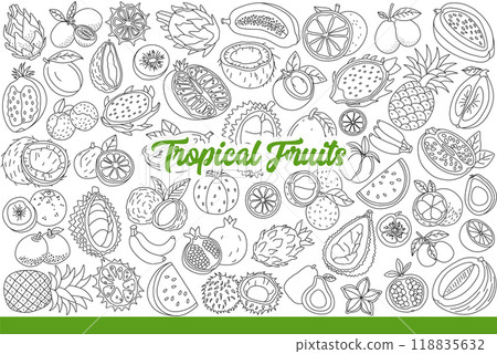 Tropical fruits growing on exotic palm trees in hot climate of southern islands. Hand drawn. 118835632