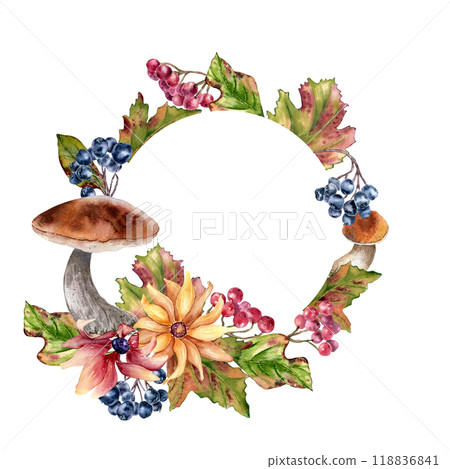 Forest circle frame with yellow flowers and maple red leaves, berries in watercolor isolated. Autumn wreath with ceps, black chokeberry and wild flora hand drawn. Fall floral foliage botanical sketch. Forest circle frame with yellow flowers and maple red leaves, berries in watercolor isolated. Autumn wreath with ceps, black chokeberry and wild flora hand drawn. Fall floral foliage botanical sketch. 118836841