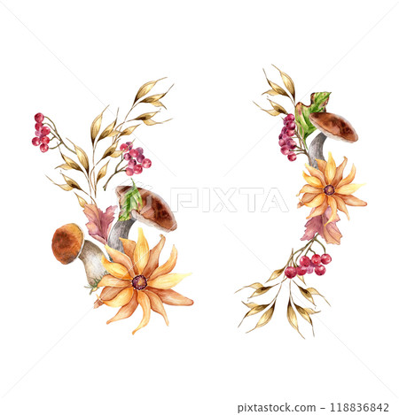 Watercolor floral autumn frame with mushroom, dry herbs and viburnum red berries isolated on white. Rowan berry on branch with porcini and flower hand drawn. Fall wreath of edible forest plants. 118836842