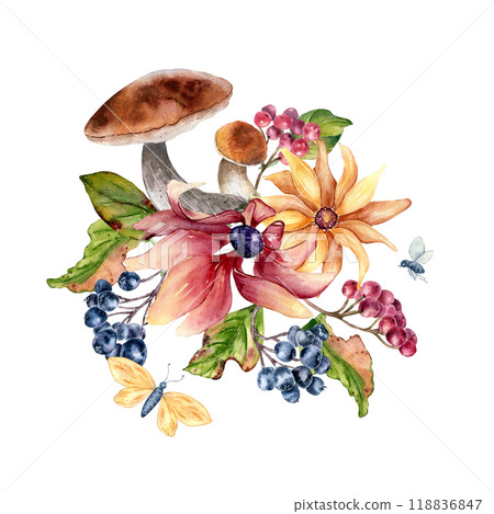 Autumn flowers rudbeckia with viburnum berries, rowan and aspen mushrooms watercolor composition isolated. Woodland plants colorful fall arrangement hand drawn in botanical sketch for nature design. Autumn flowers rudbeckia with viburnum berries, rowan and aspen mushrooms watercolor composition isolated. Woodland plants colorful fall arrangement hand drawn in botanical sketch for nature design. 118836847