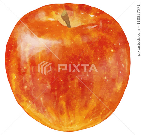 One realistic red apple 118837571
