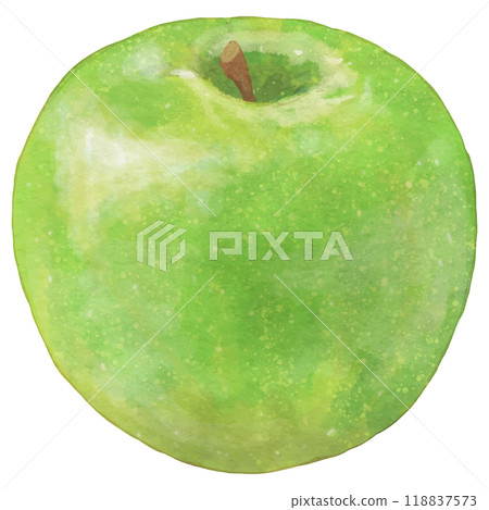 One realistic green apple 118837573