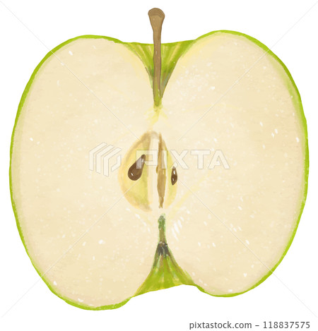 逼真的青蘋果半橫切面切割 118837575