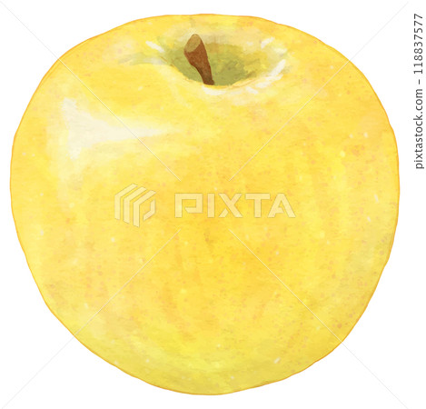 One realistic yellow apple 118837577