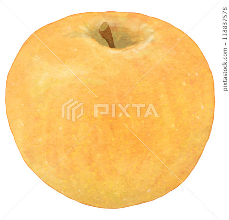 一隻現實梨的插圖（Kosui） 118837578