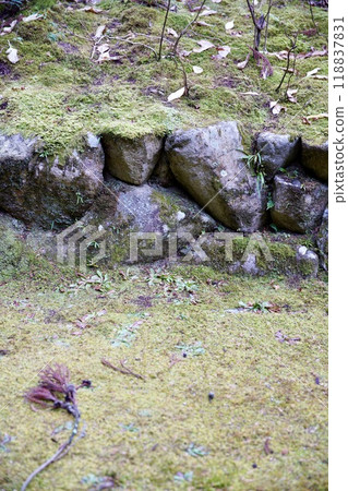 有青苔的低石牆 118837831