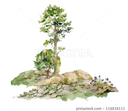 Scenery landscape of forest meadow grassland with bushes flowers, pine fir spruce tree on alpine rocks, hand drawn in watercolor. Illustration for hiking camping sites vacation, tourism, resort ads. Scenery landscape of forest meadow grassland with bushes flowers, pine fir spruce tree on alpine rocks, hand drawn in watercolor. Illustration for hiking camping sites vacation, tourism, resort ads. 118838111
