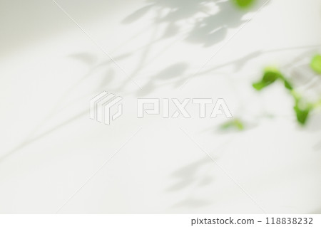 內政部與室內植物 118838232