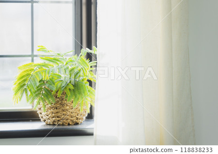 Interior with houseplant Interior with houseplant 118838233
