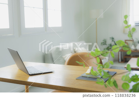 Interior with houseplant 118838236