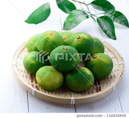 秋味早蜜柑薩摩蜜柑（早蜜柑白底） 118838840