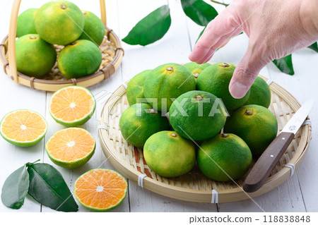 秋味早蜜柑薩摩蜜柑(早蜜柑白底) 秋味早蜜柑薩摩蜜柑(早蜜柑白底) 118838848