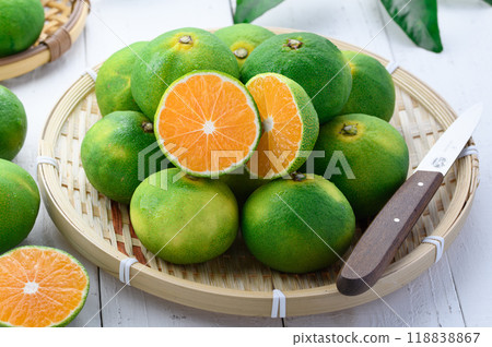 秋味早蜜柑薩摩蜜柑(早蜜柑白底) 秋味早蜜柑薩摩蜜柑(早蜜柑白底) 118838867