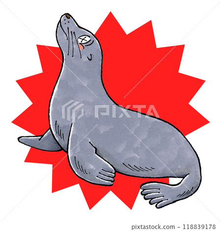 海獅被殺 118839178