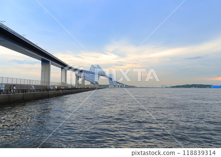Tokyo Gate Bridge (Wakasu Park) Tokyo Gate Bridge (Wakasu Park) 118839314