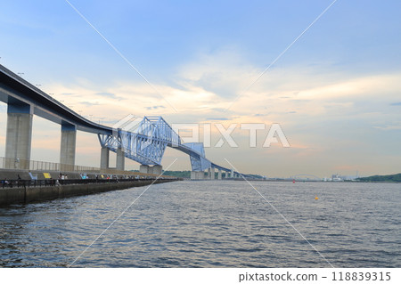 Tokyo Gate Bridge (Wakasu Park) 118839315