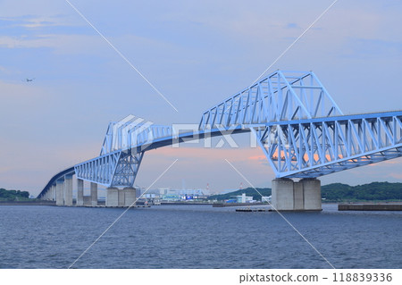 Tokyo Gate Bridge (Wakasu Park) Tokyo Gate Bridge (Wakasu Park) 118839336