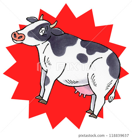 Damaged dairy cow 118839637