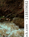 Water flows through a lush forest with trees and stones 118839682