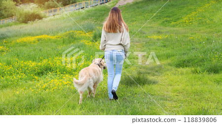 Owner woman walking with Golden Retriever dog on leash in summer park 118839806