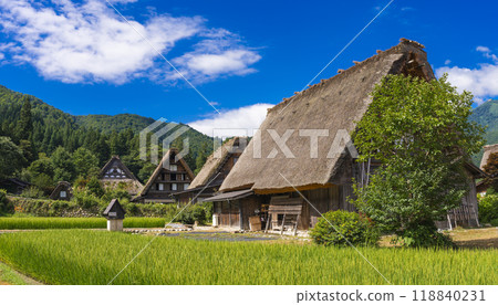 白川鄉美麗的全景 118840231