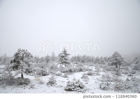 Snow scene Snow scene 118840360