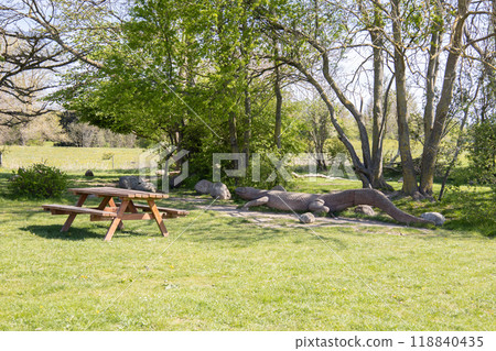 Summer park for outdoor activities with a bench and a large wooden crocodile. 118840435