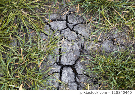 Summer without rain. Cracked earth from drought and som green grass. Summer without rain. Cracked earth from drought and som green grass. 118840440