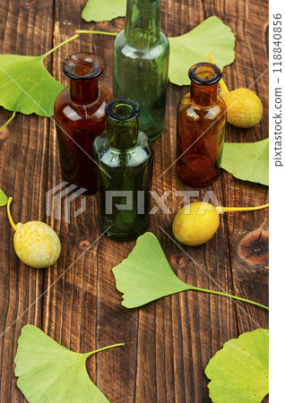Ginkgo fruits and yellow nuts, herbal healing. Ginkgo fruits and yellow nuts, herbal healing. 118840856