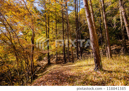 A promenade on the way to Reisenji Onsen in autumn 118841385