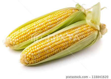 Fresh and Juicy Corn on the Cob - Generative AI 118841620
