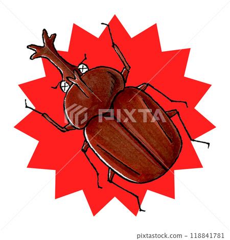Beaten Beetle Beaten Beetle 118841781