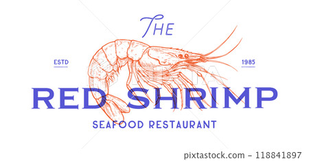 Shrimp, seafood, sketch. Vintage retro print, seafood shrimp prawn sketch, sea life, ink pencil style drawing, engrave old school sketch, hand drawn. Sketch artwork shrimp. Vector Illustration Shrimp, seafood, sketch. Vintage retro print, seafood shrimp prawn sketch, sea life, ink pencil style drawing, engrave old school sketch, hand drawn. Sketch artwork shrimp. Vector Illustration 118841897