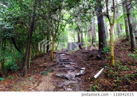 Gunma Prefecture, Shibukawa City, Mizusawa Kannon, Mizusawayama Mountain Trail Gunma Prefecture, Shibukawa City, Mizusawa Kannon, Mizusawayama Mountain Trail 118842015