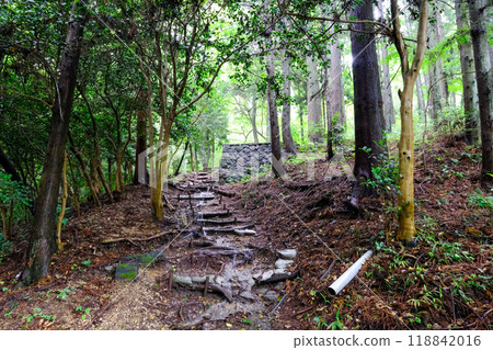 群馬縣、澀川市、水澤觀世園、水澤山登山道 118842016