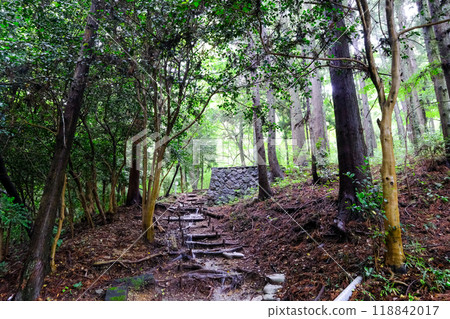 Gunma Prefecture, Shibukawa City, Mizusawa Kannon, Mizusawayama Mountain Trail 118842017