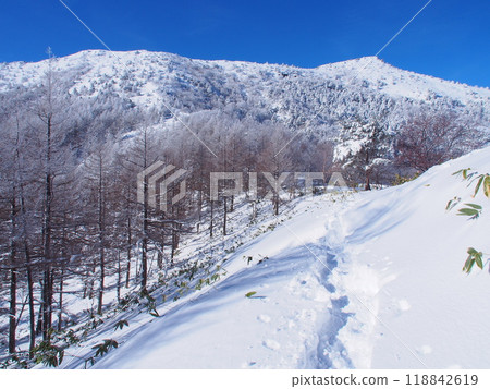 Asama mountain range and Eboshidake in winter Asama mountain range and Eboshidake in winter 118842619