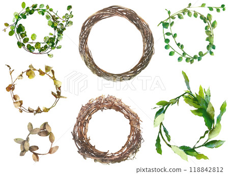 乾燥花插畫素材套裝7（租借） 118842812