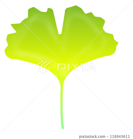 銀杏葉 銀杏葉 118843611