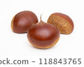 Chestnut 118843765