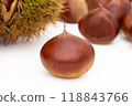 Chestnut 118843766