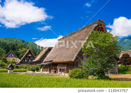 白川鄉的美景 118843767