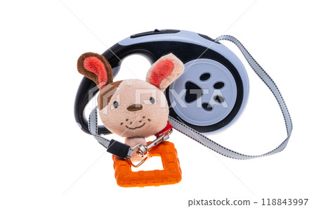 dog retractable leash and dog toys isolated 118843997