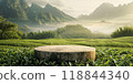A tree stump stands in a lush green field with mountains in the background 118844340