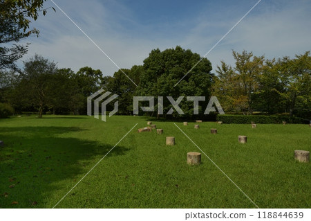 Remains Remains 118844639