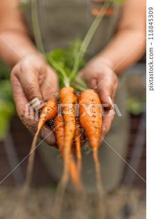 Farmer holding organic carrots Farmer holding organic carrots 118845309