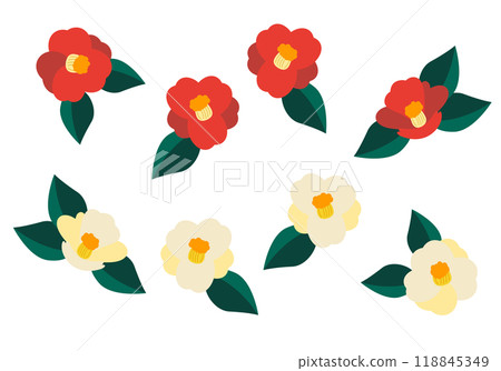 Red and white camellia vector illustration set 118845349