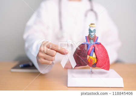 November Lung Cancer Awareness month. Doctor with Smoker Lung anatomy model and White ribbon in hospital. Healthcare and World Cancer day concept 118845406